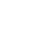 flag_icon